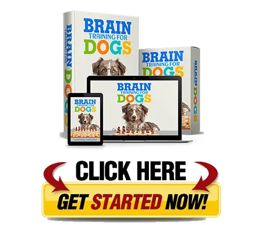 https://www.couriermagazine.com/CourierBlog/wp-content/uploads/2021/01/download-brain-training-for-dogs-pdf.webp